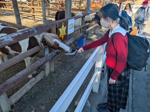 動物園